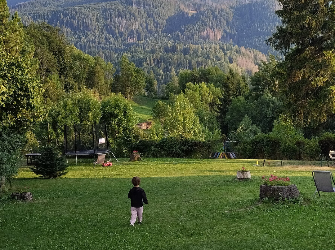 Eco Park Hotel Azalea主图