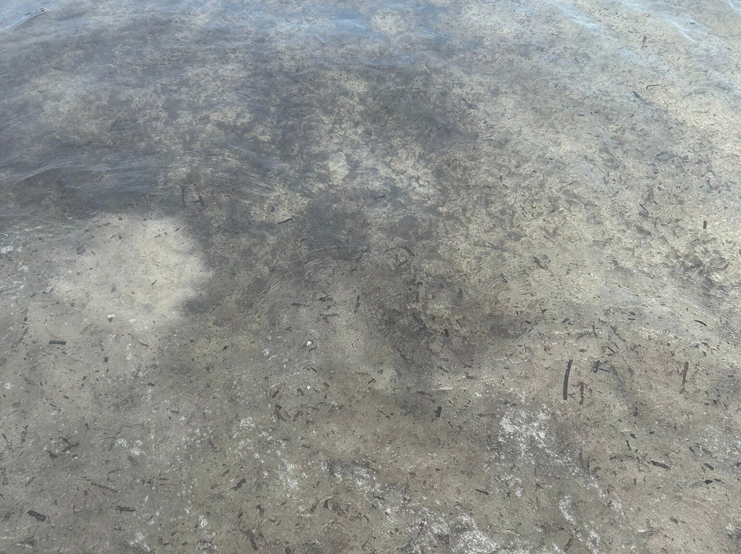Spiaggia Ezzi Mannu-斯廷蒂诺必去景点