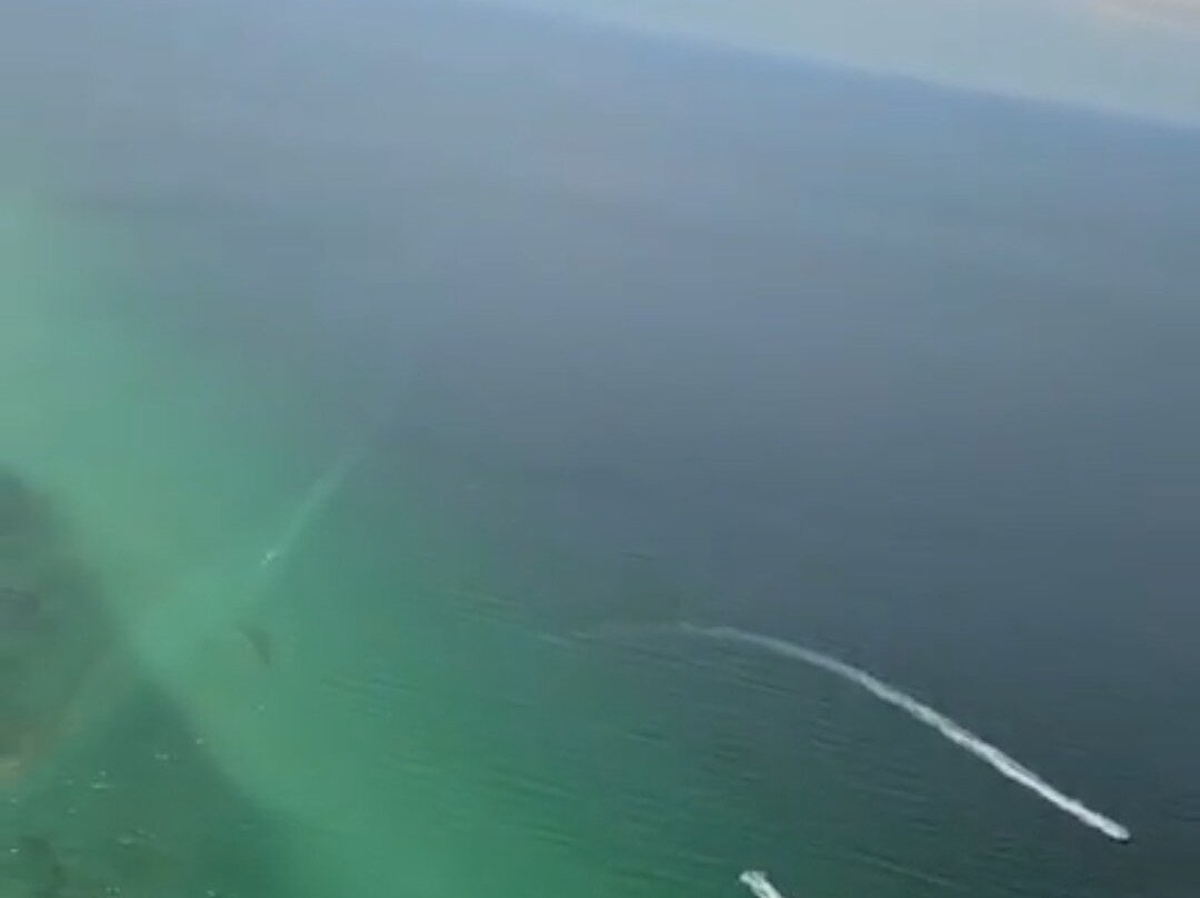 Panhandle Helicopter-巴拿马城海滩必去景点