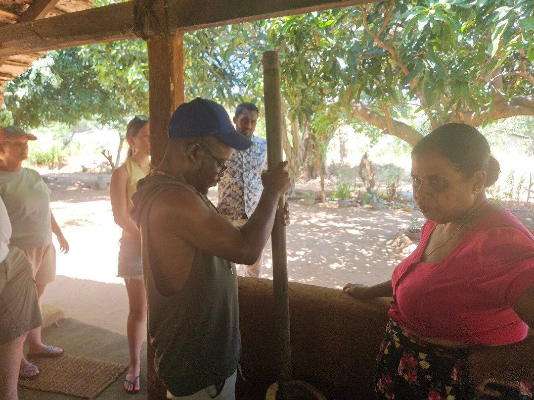 Sri Lanka Wide Tours-科伦坡必去景点