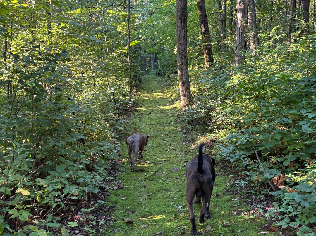 Inn At Wawanissee Point主图