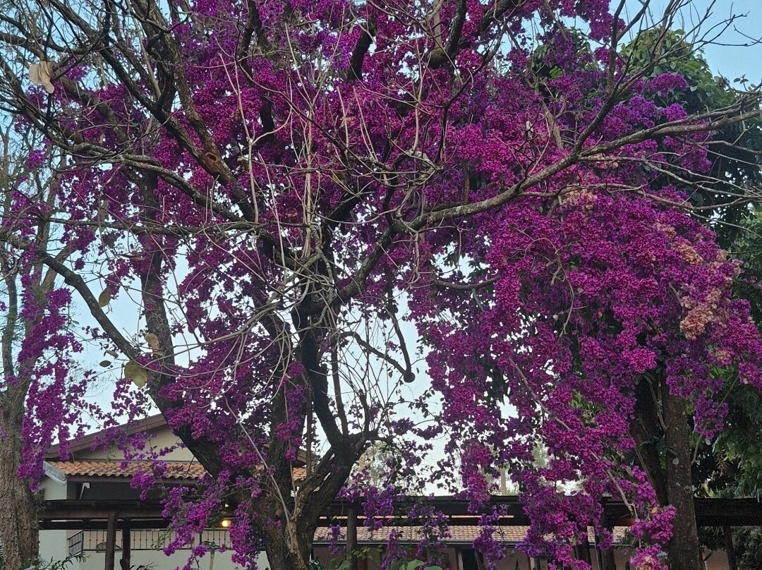 Areia que Canta-Brotas必去景点