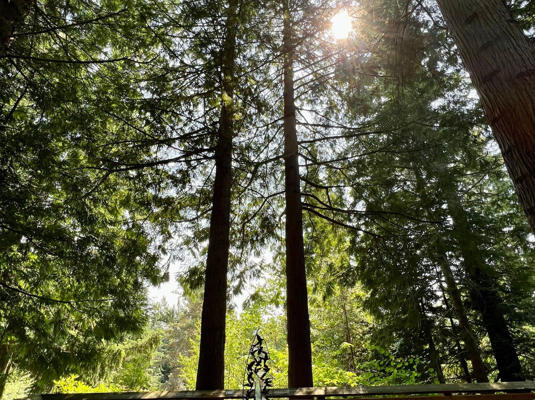 Big Rock Garden-贝灵厄姆必去景点