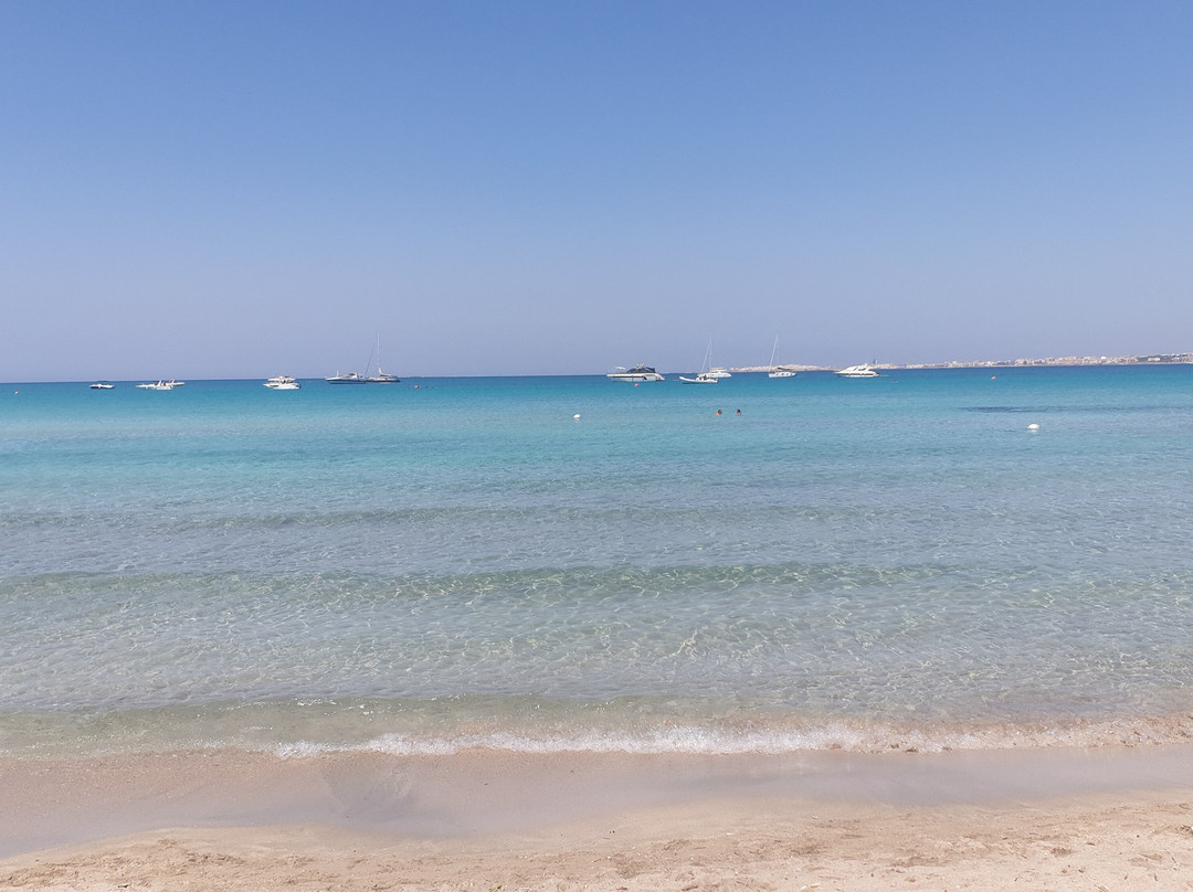 B&B Sole Luna e Girasoli主图