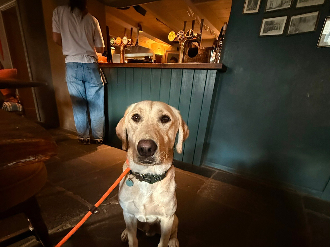 The Standard Inn  Portscatho Cornwall