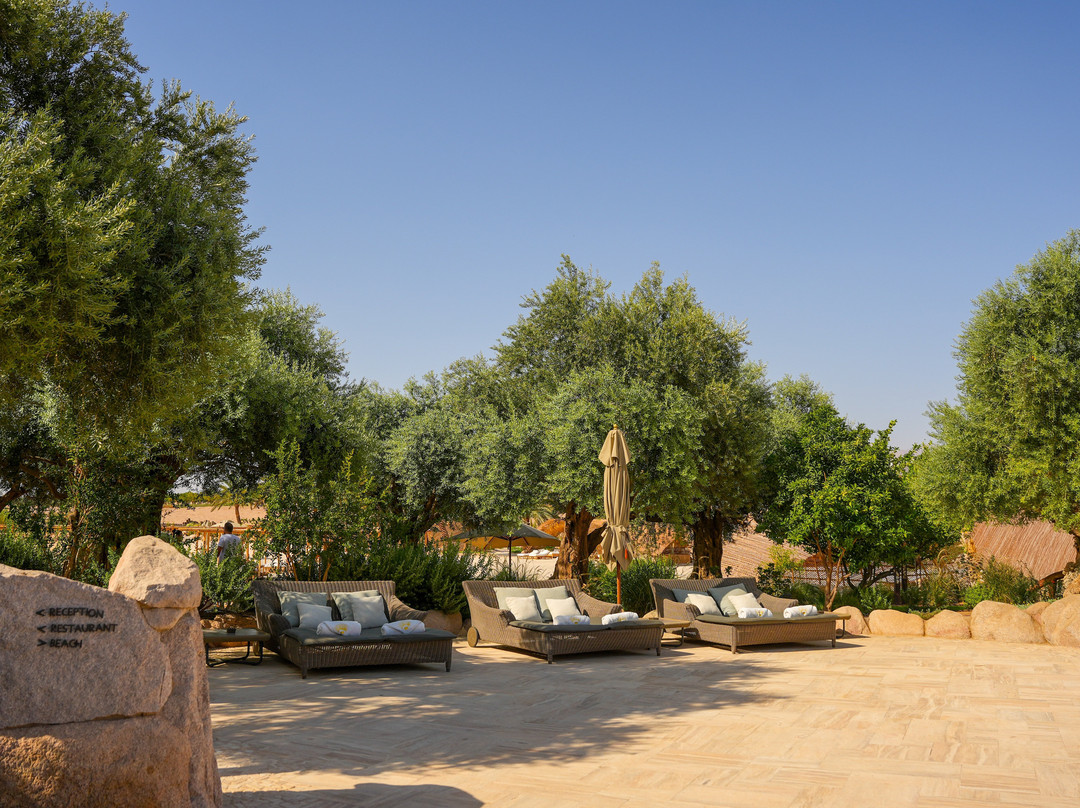 Mama Gaia Beach Club-亚喀巴必去景点