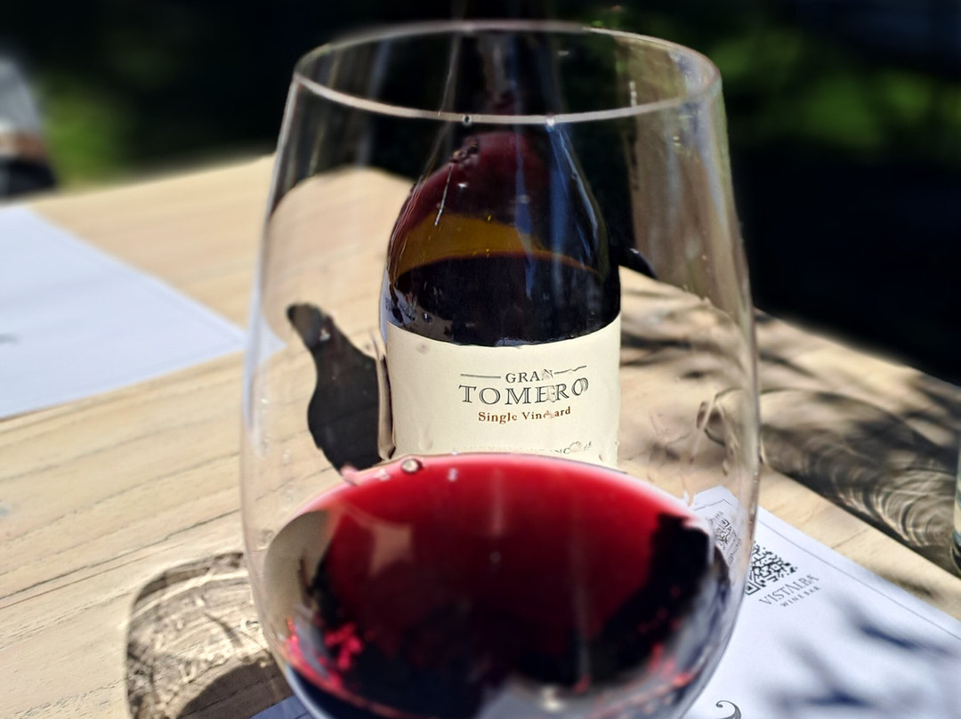 Bodega Vistalba-路冉得库约必去景点