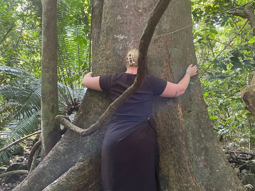 Diani By Day Tours-迪亚尼必去景点