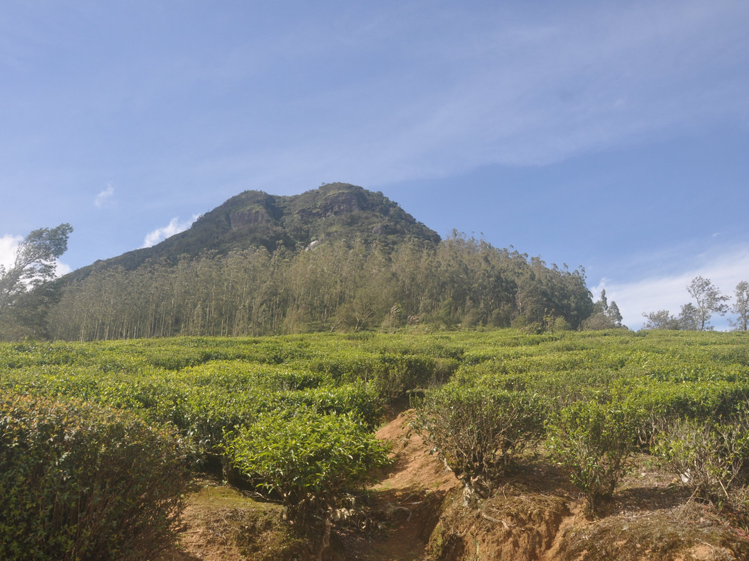 SLRIDE.COM-奴娃拉伊利雅必去景点