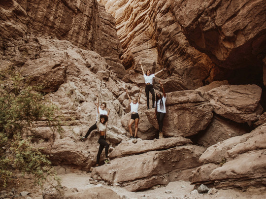 Island Tribe Wellness