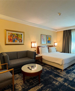 贝鲁特马丁内斯丽笙布鲁酒店酒店图片