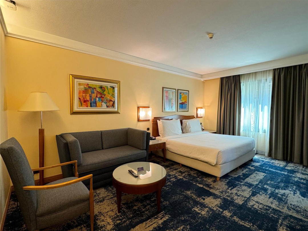 贝鲁特酒店住宿-贝鲁特马丁内斯丽笙布鲁酒店