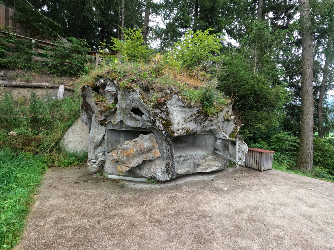Bunker Museum-多比亚科必去景点