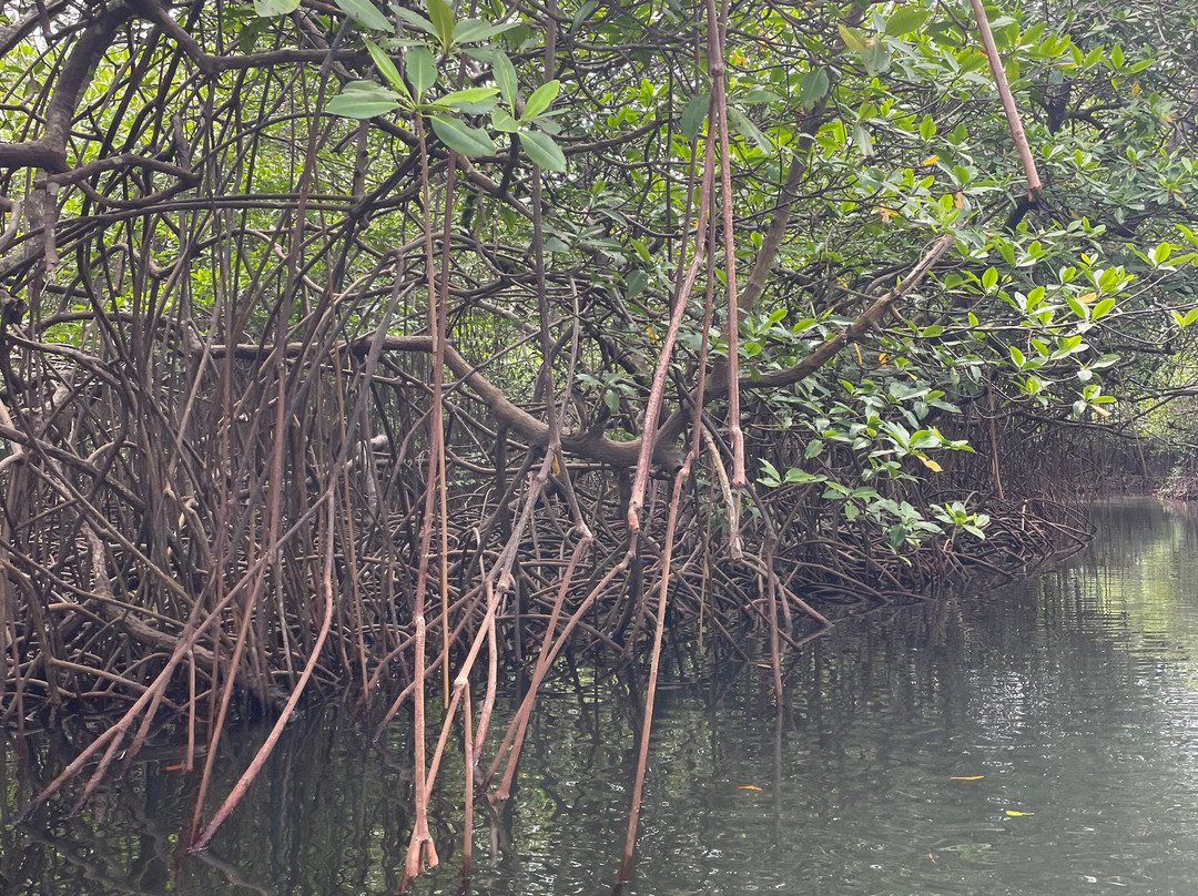 Services Coronado-巴拿马城必去景点