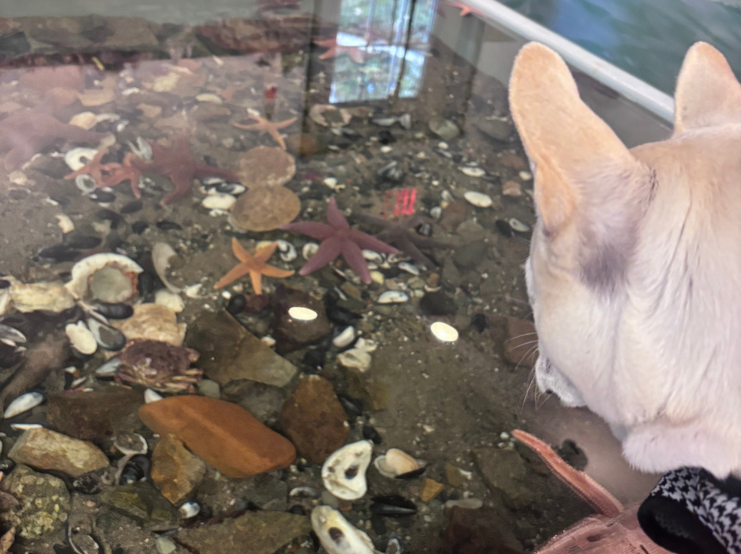 Oceanarium And Education Center-巴港必去景点