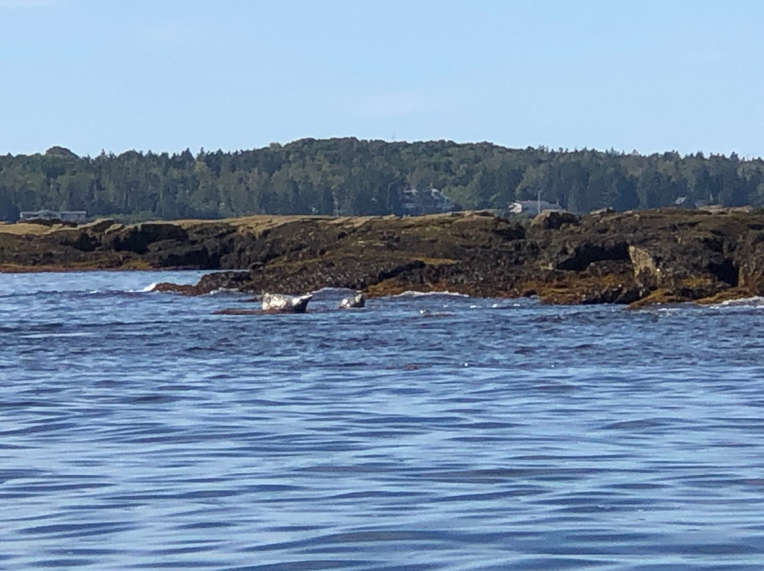 Sea Princess Cruises-Mount Desert必去景点