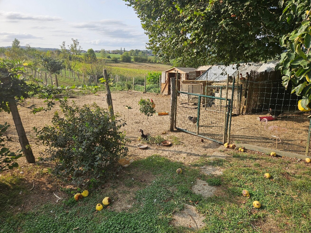 Maison Elizondoa主图