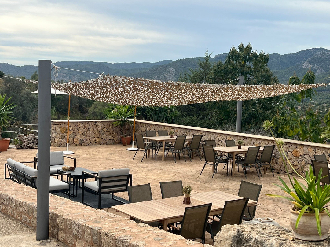 Bodega Castell Miquel-Alaró必去景点