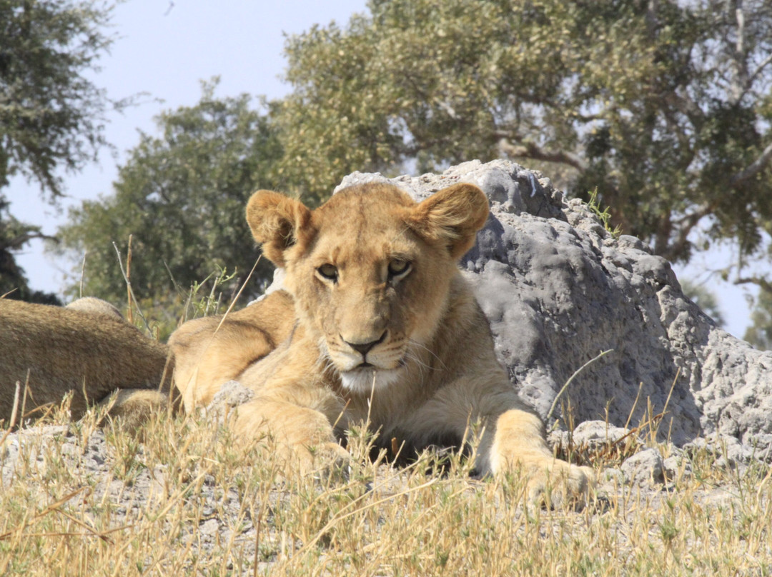 Gondwana Tours & Safaris-马翁必去景点