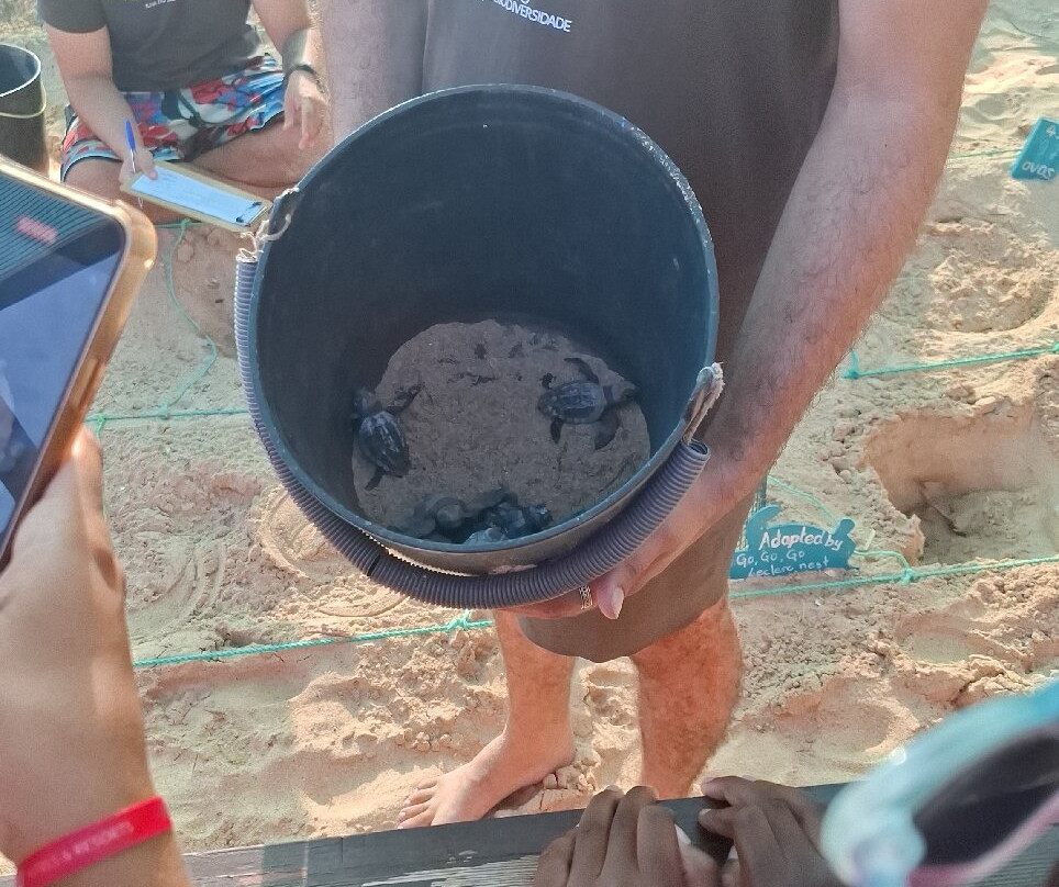 Projeto Biodiversidade-圣塔玛丽亚必去景点