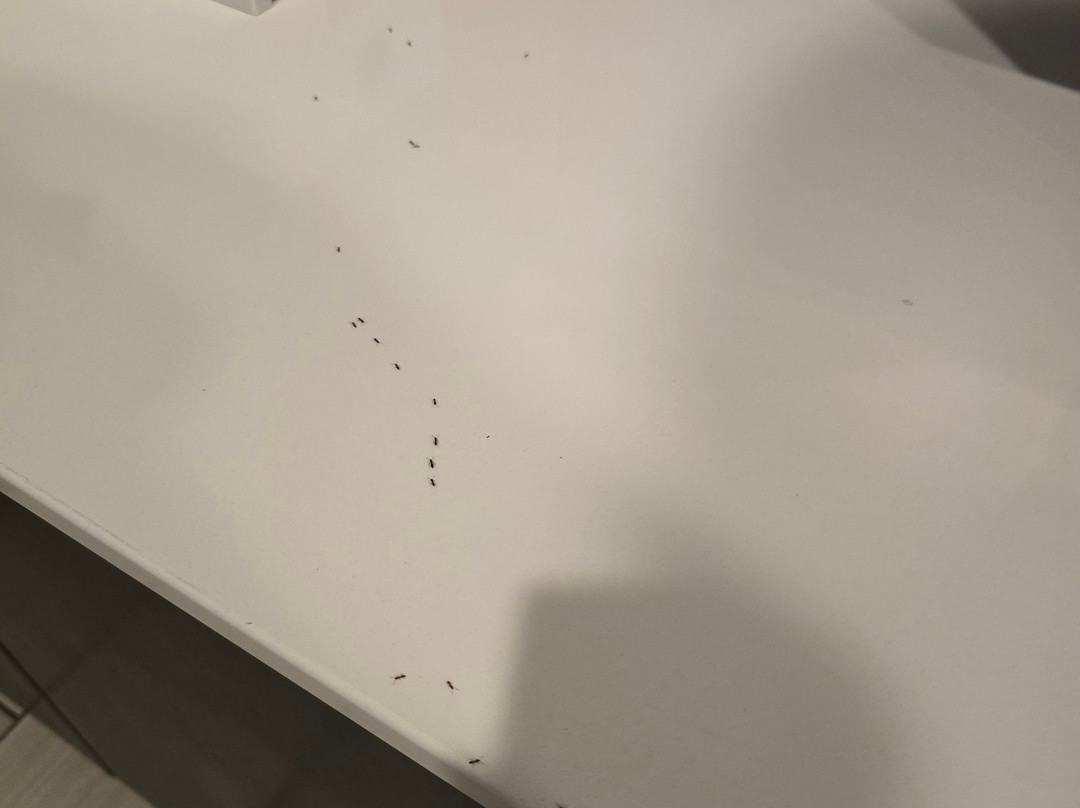 Holiday Inn Express & Suites Bardstown主图