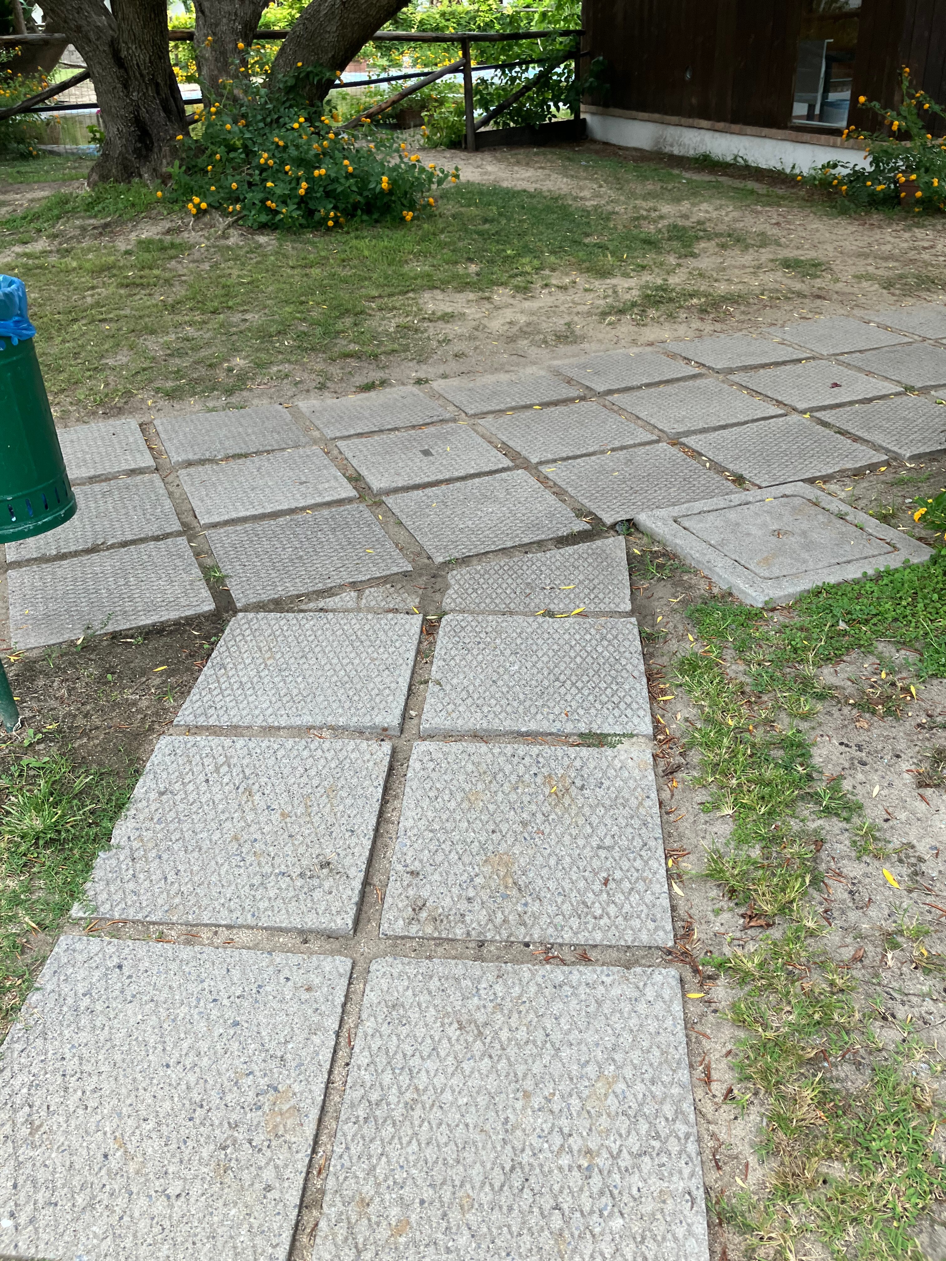 Nausicaa Villaggio-官方