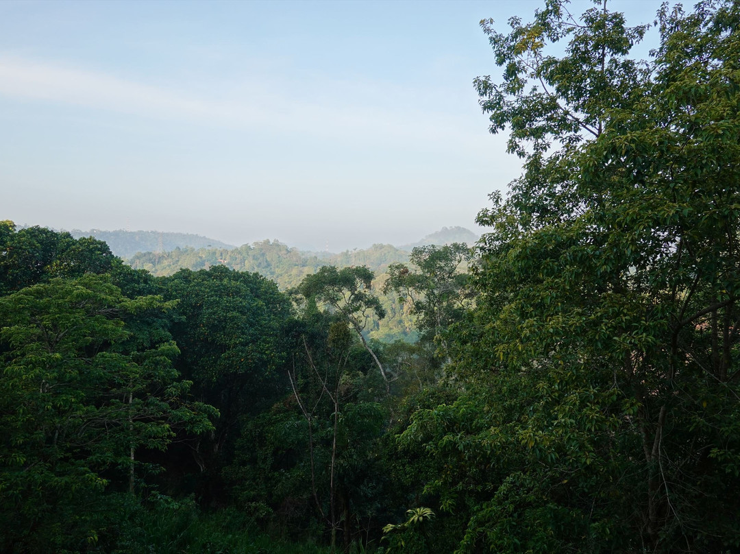 生命之树酒店主图