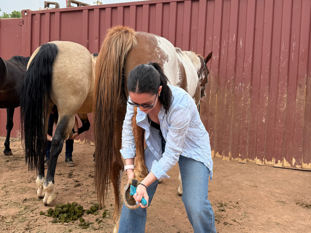 Jacob's Ranch-Virgin必去景点