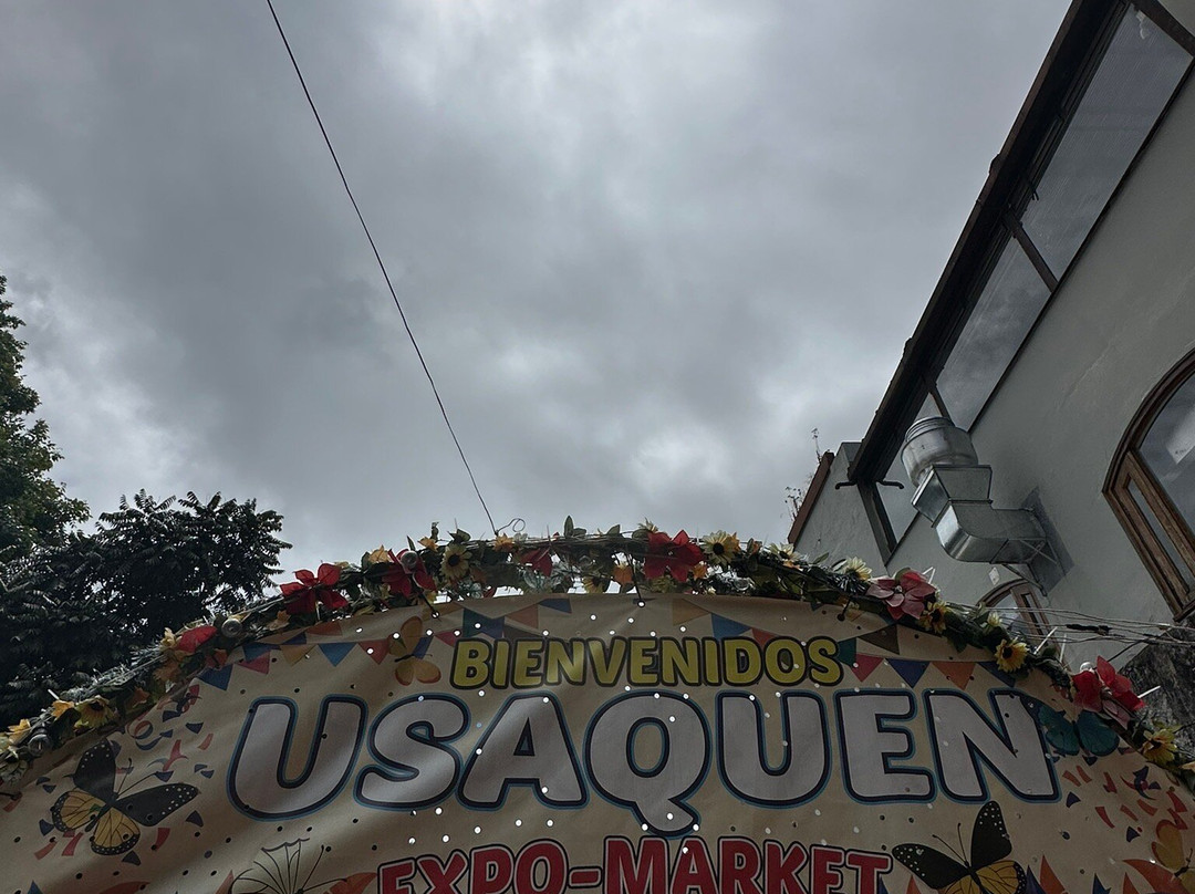 Mercado de las Pulgas de Usaquén-波哥大必去景点