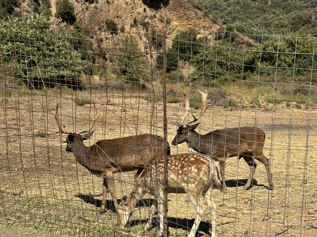 Botanical  Gardens Of Crete-Fournes必去景点