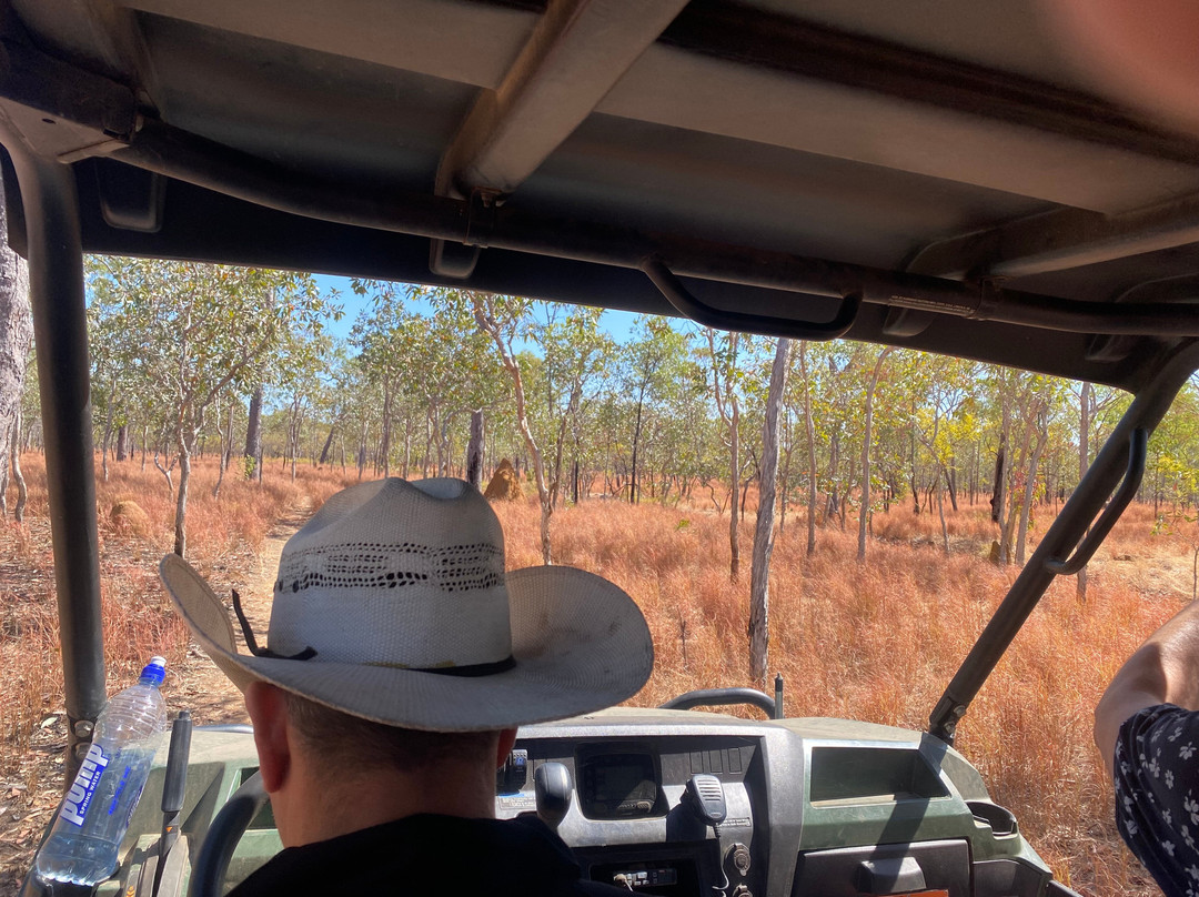 Jarramali Rock Art Tours-凯恩斯必去景点