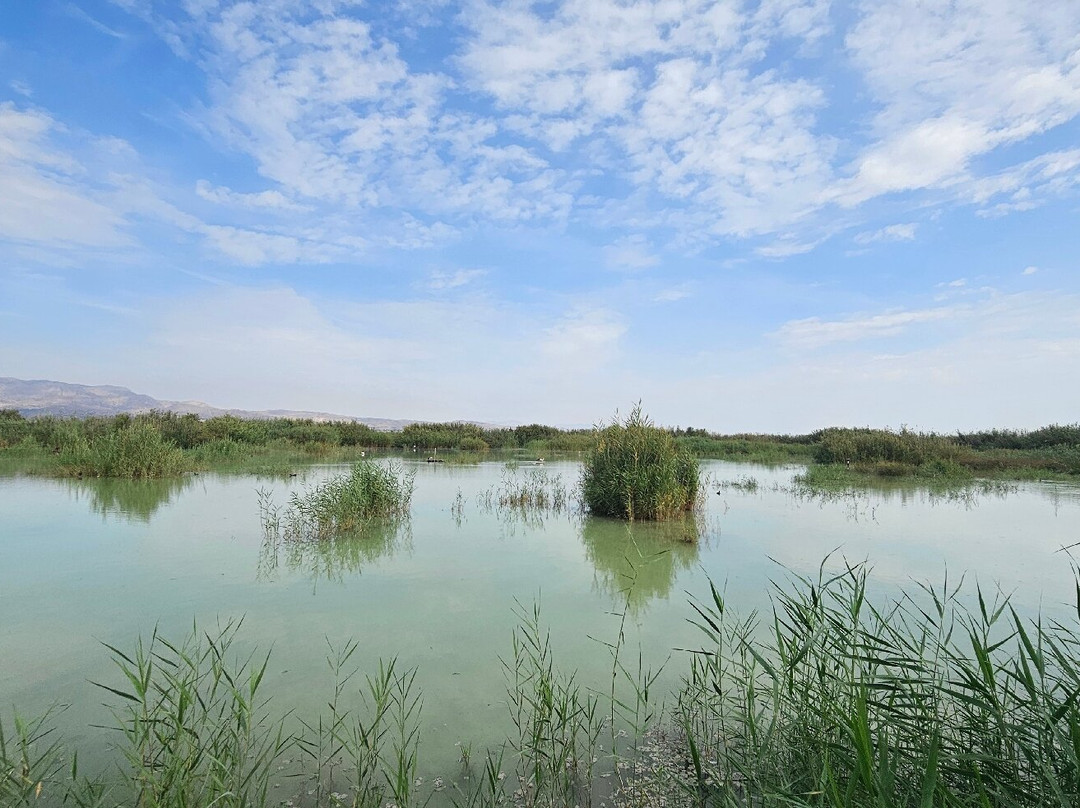 Parque Natural el Hondo-Crevillente必去景点