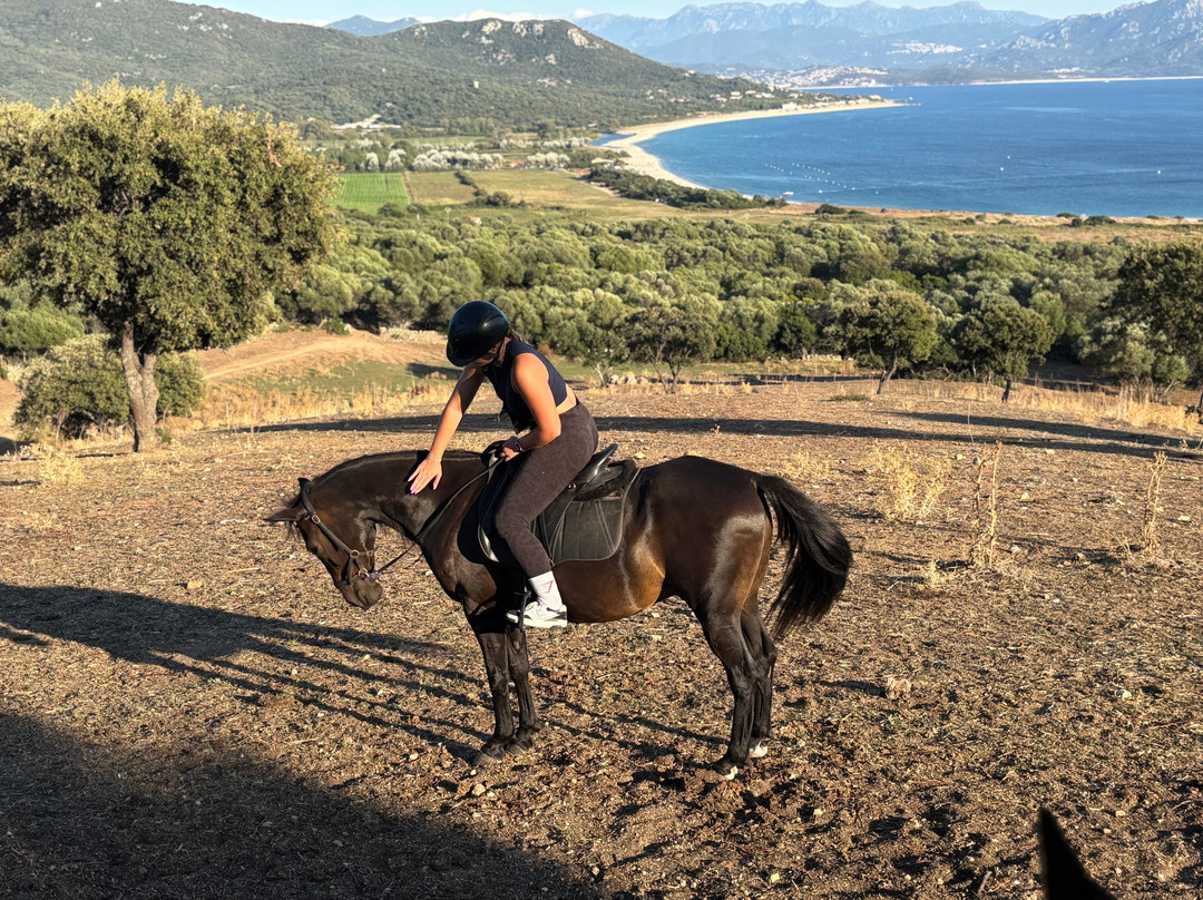 L’Orca agricultura & cavalli