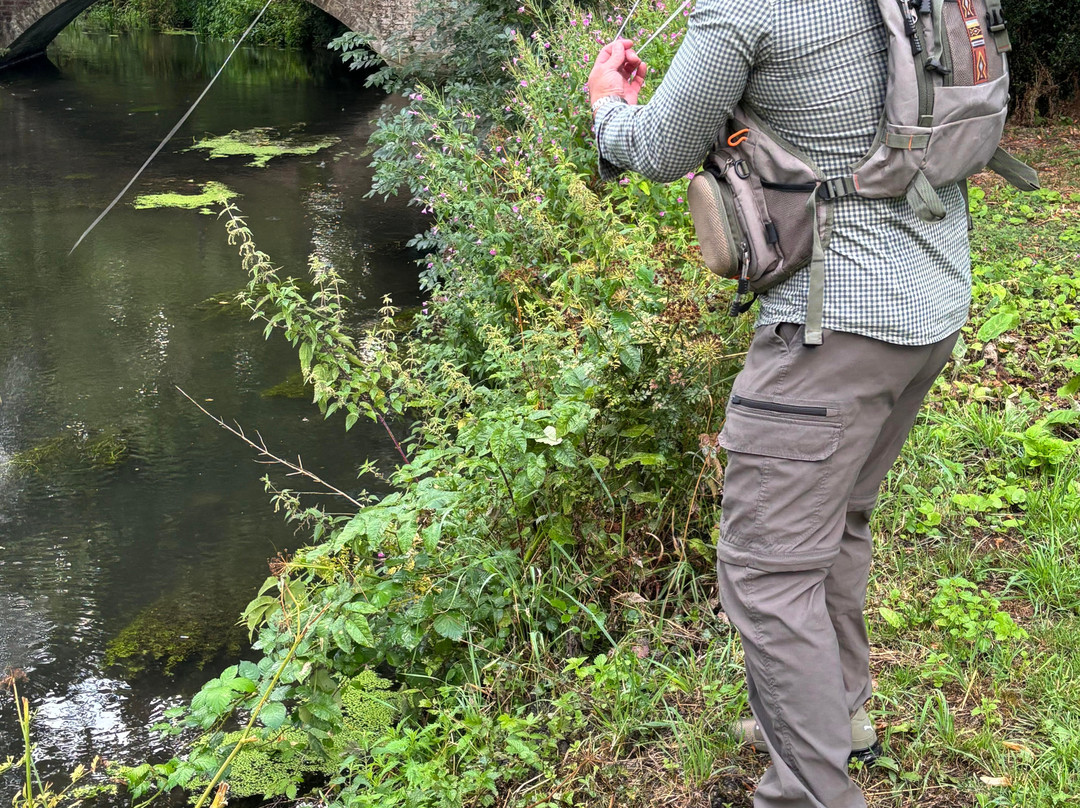 Bishopstrow Hotel & Spa主图