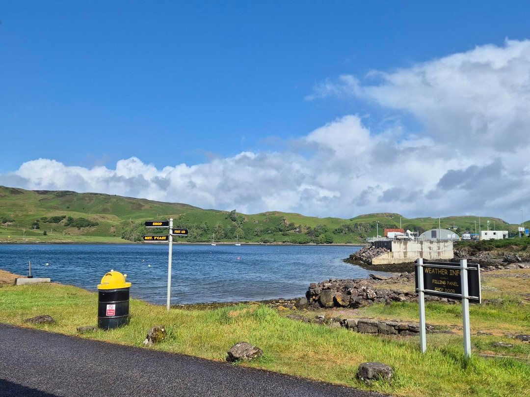 Puffin Dive Centre-奥本必去景点