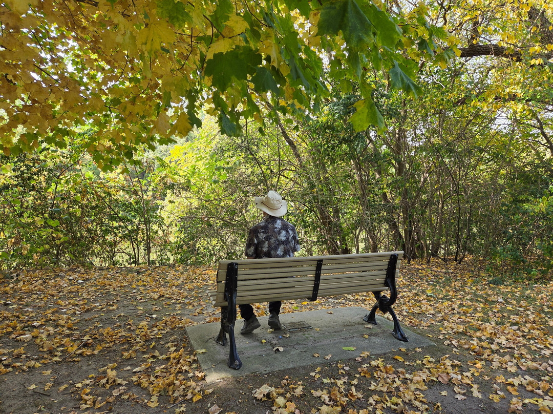 Gibbons Park-伦敦必去景点