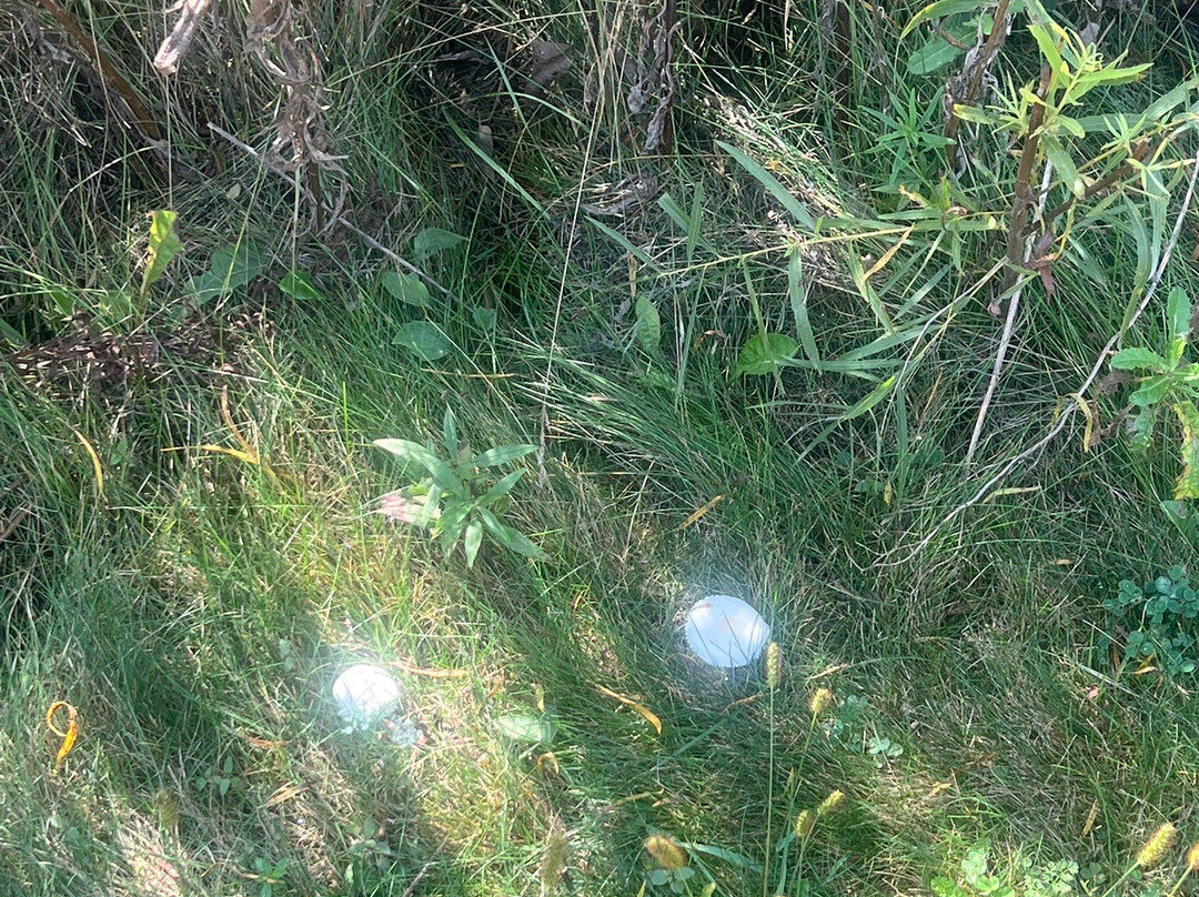 Buffalo Creek Forest  Preserve-Long Grove必去景点