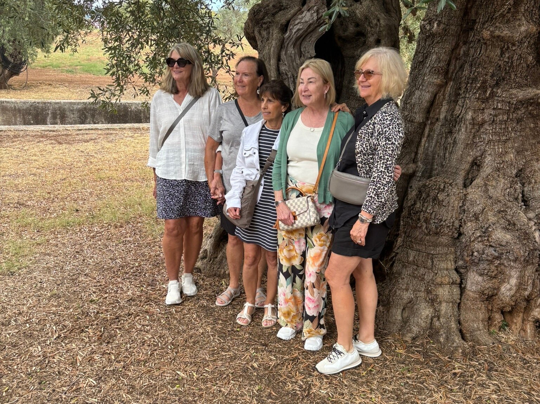 Extravergine Savoia-法萨诺必去景点