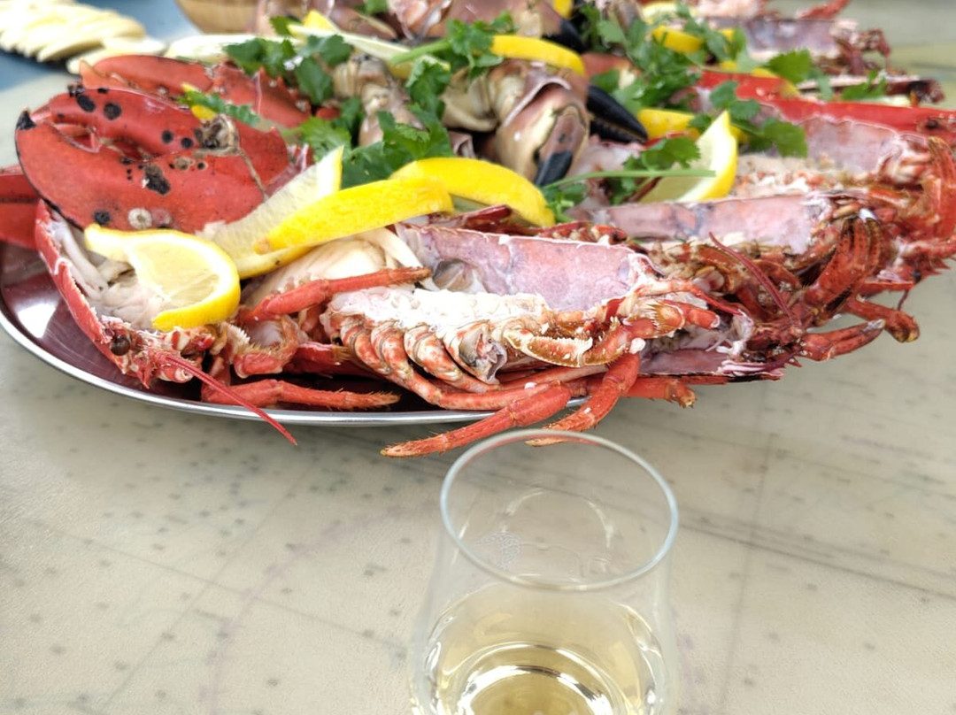 Islay Sea Adventures-Port Ellen必去景点