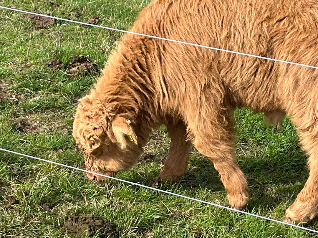 Farm Ness-因弗内斯必去景点