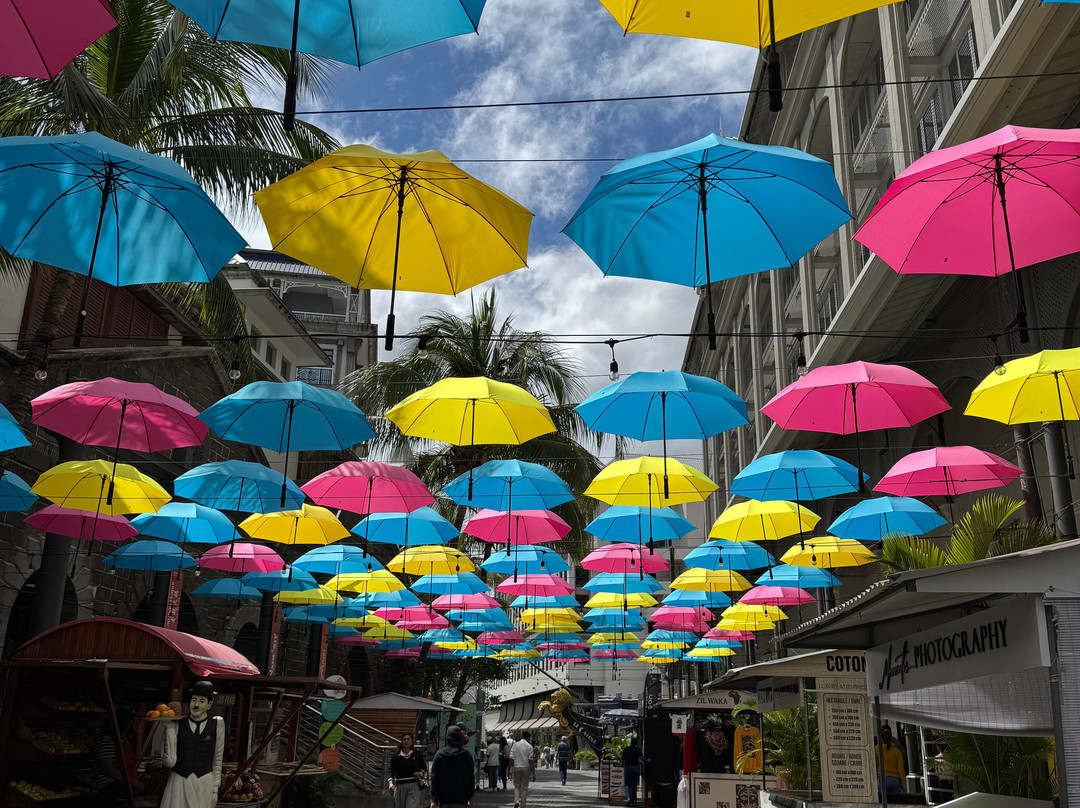 Taxi Service Mauritius (TRAVELHUB)-卡特勒博尔纳必去景点
