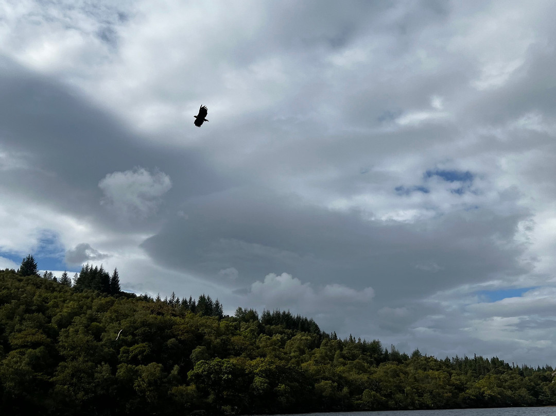 Loch Shiel Cruises-Glenfinnan必去景点