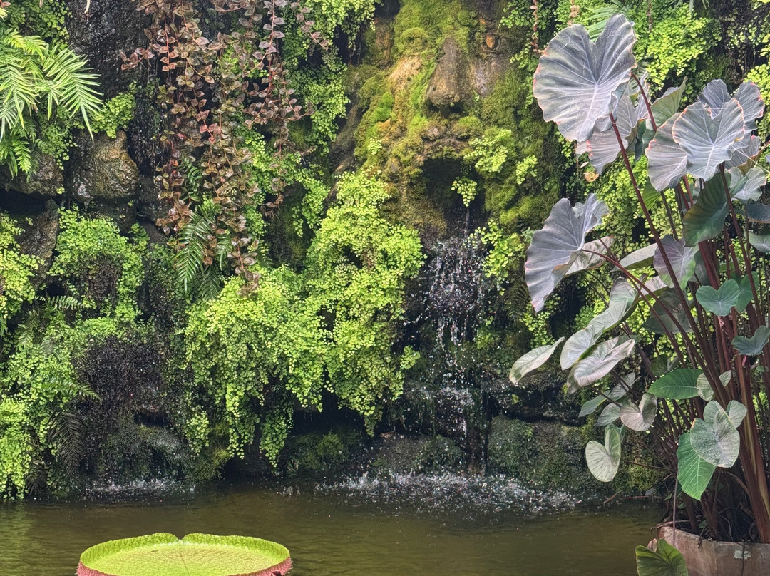 Giardini La Mortella-福里奥必去景点