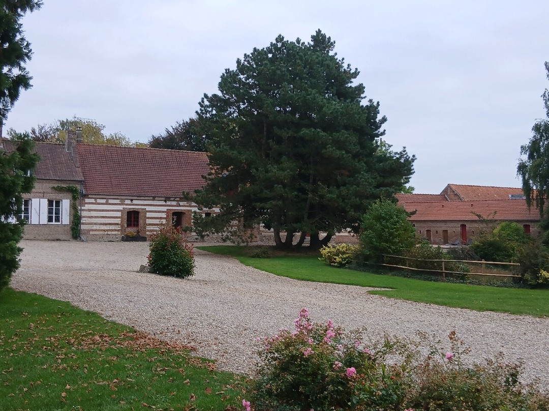 La Ferme de Mezoutre主图