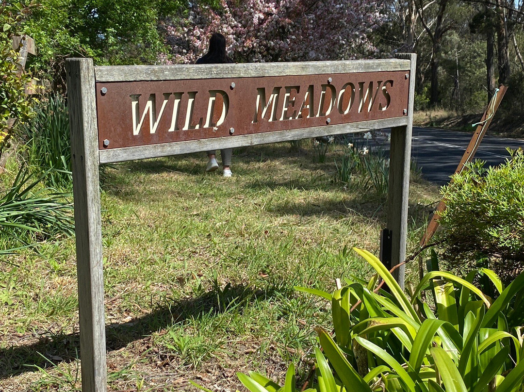 Wild Meadows Garden Little Hartley Nsw-Little Hartley必去景点