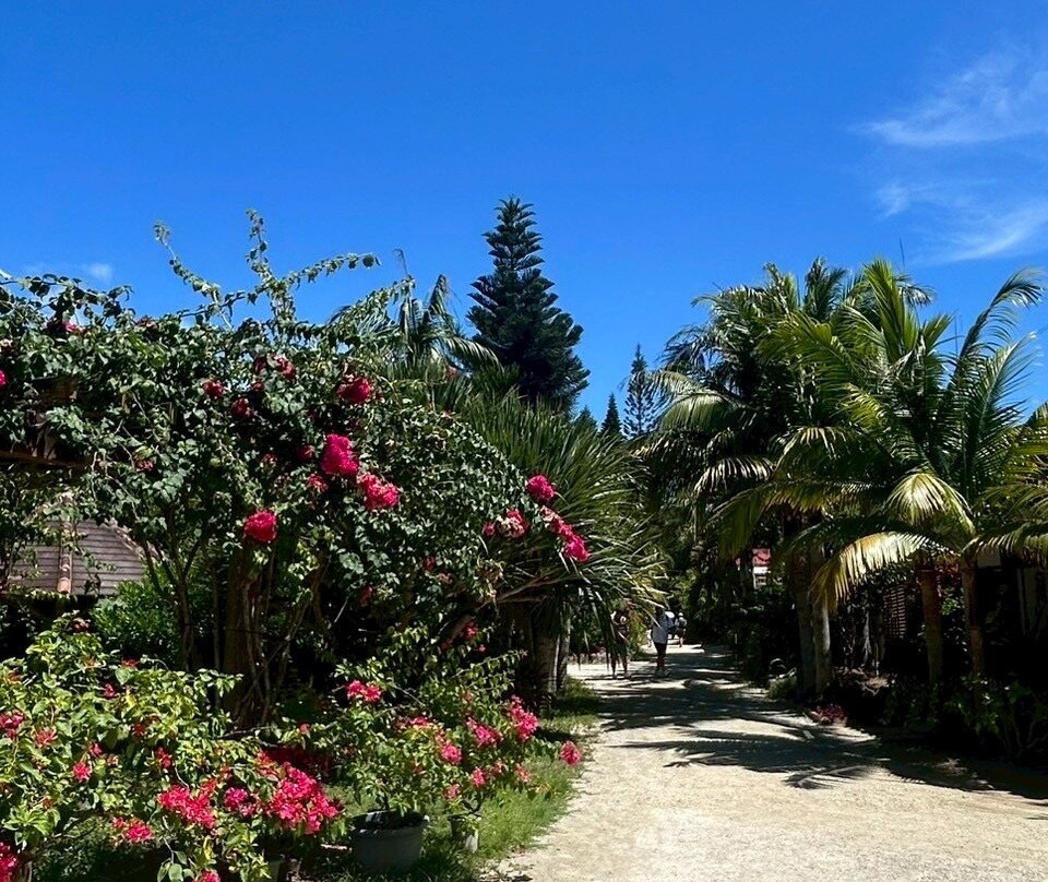 Manta no Hama-竹富町由布岛必去景点