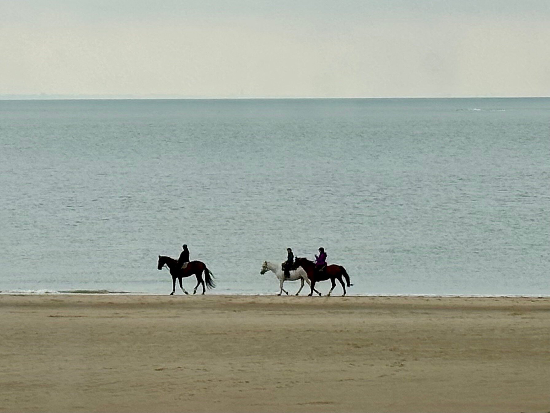 凡德瓦克酒店-官方