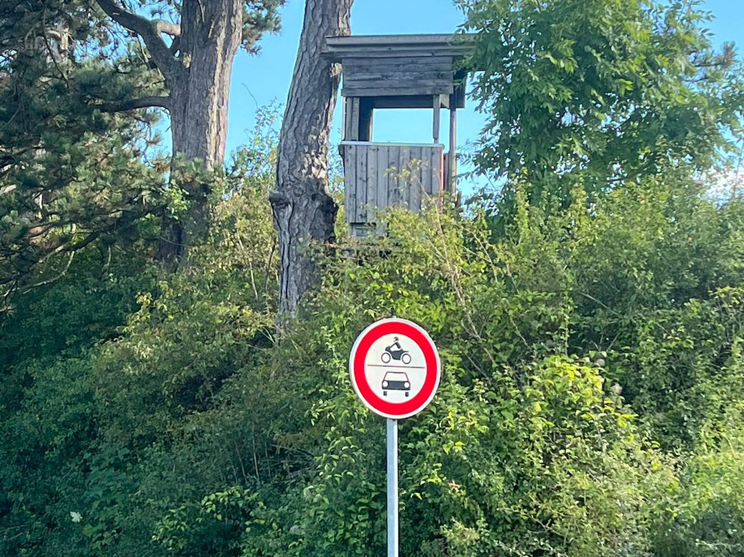 Erlebnisdraisine-Lengenfeld unterm Stein必去景点