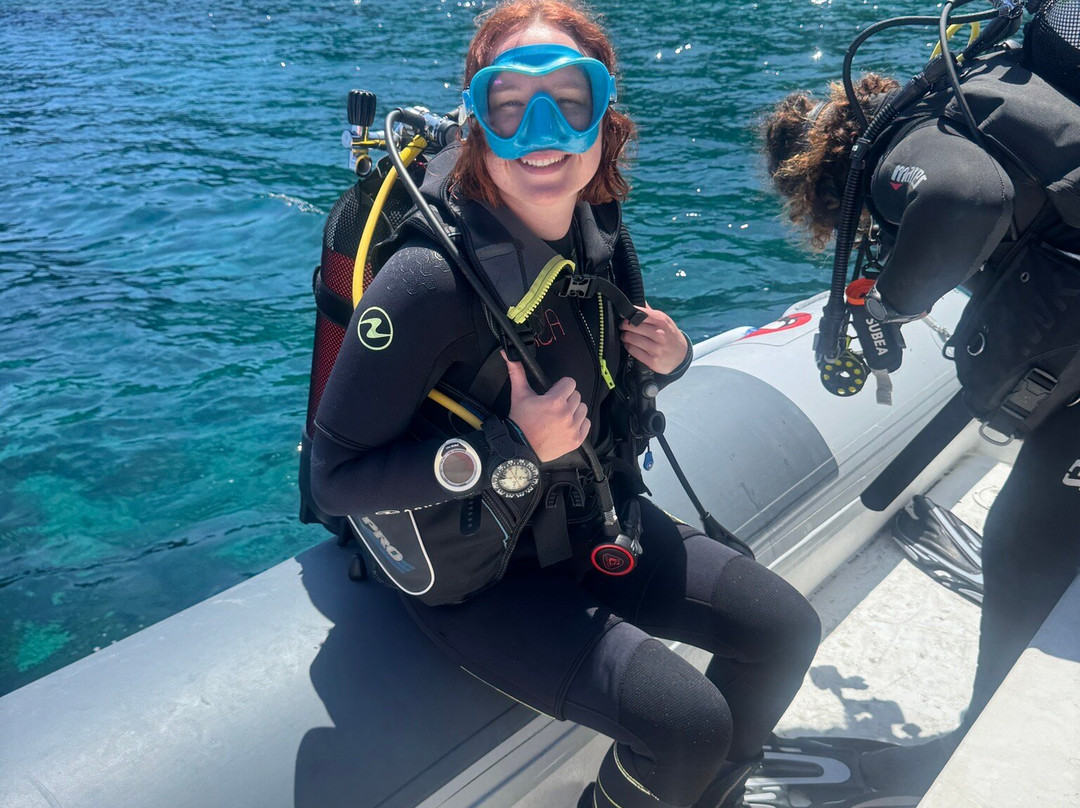 Orca Diving Ustica-Ustica必去景点