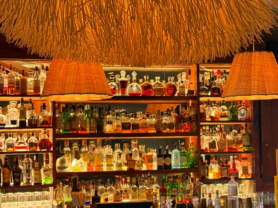 Palomino Royal Palms Hotel